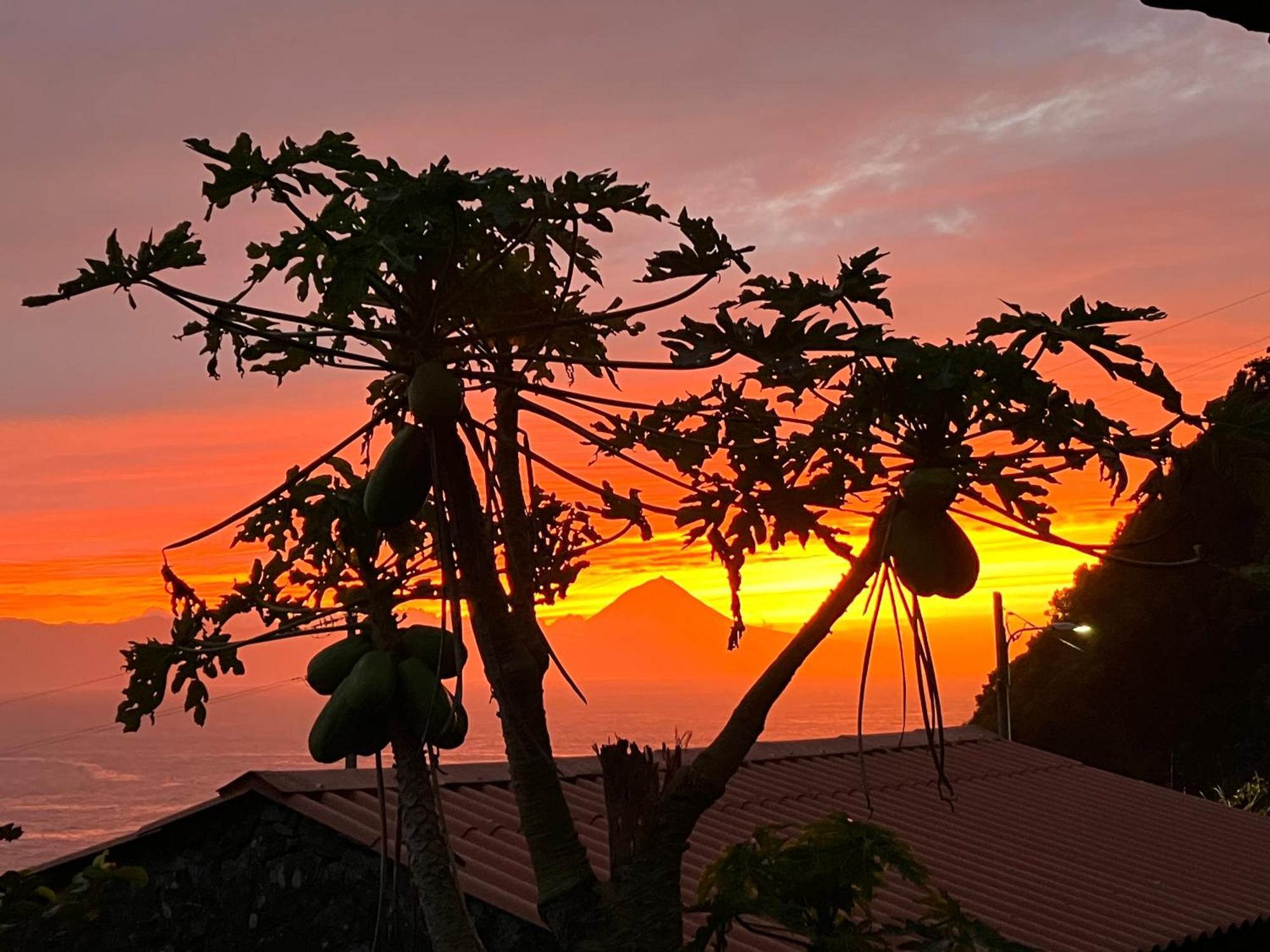 Vistalinda Cabins Calheta  Экстерьер фото