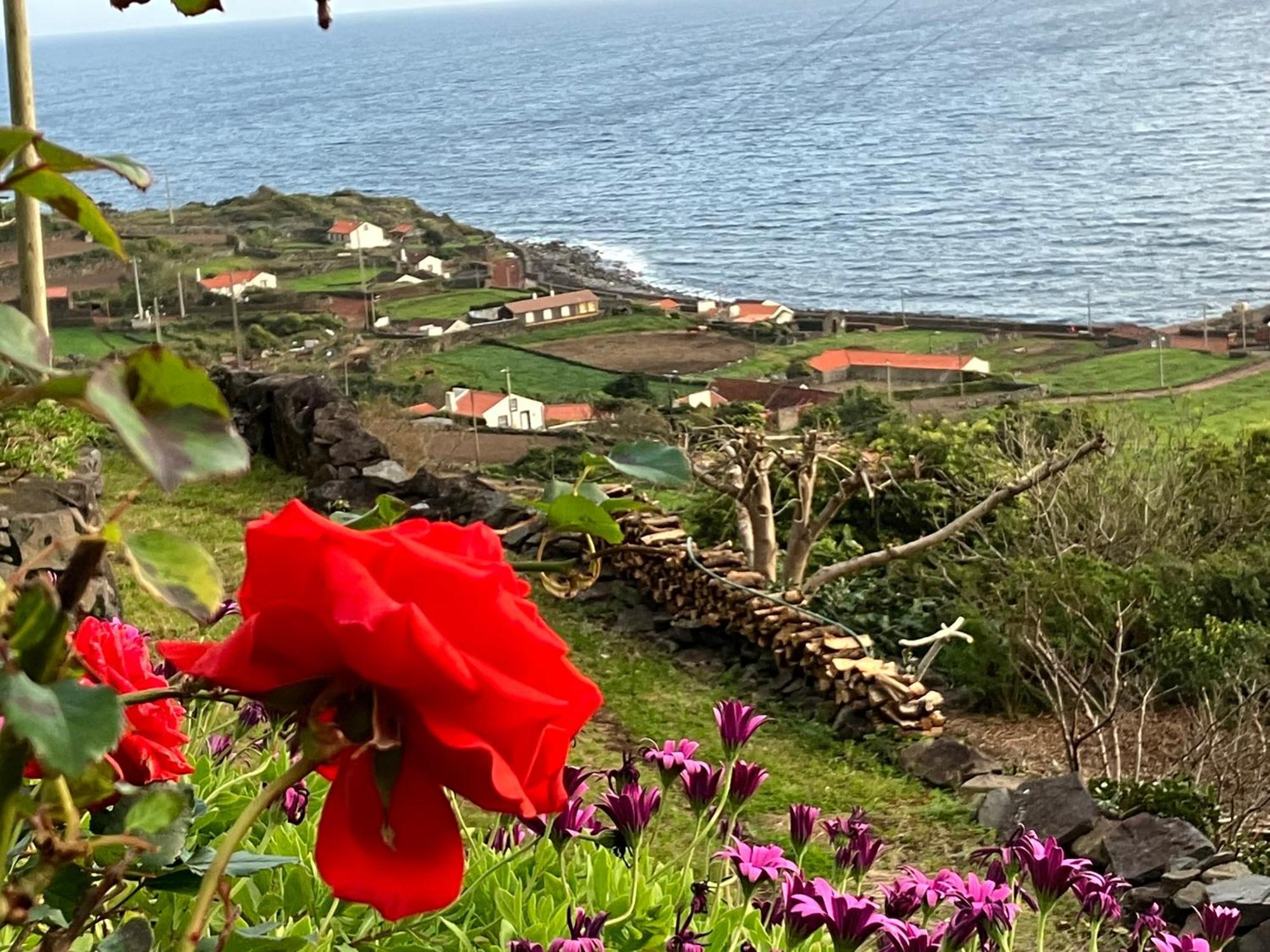Vistalinda Cabins Calheta  Экстерьер фото